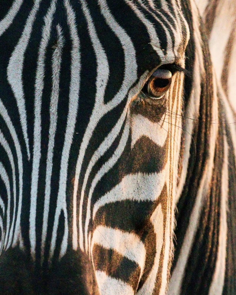 hans-veth-6VZC1vA-DMc-unsplash